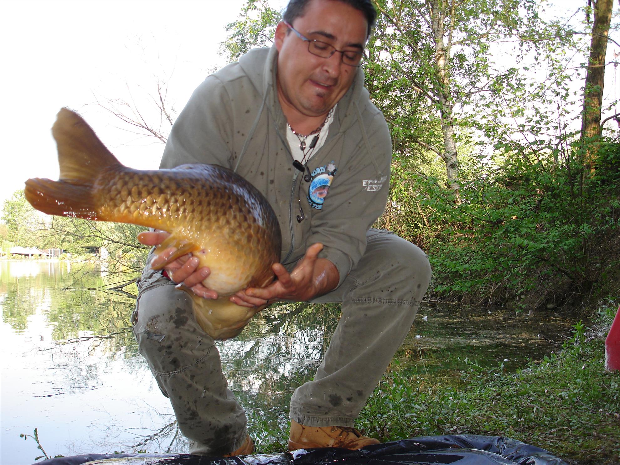 THE BIGS OF 2011 - p1000086.JPG